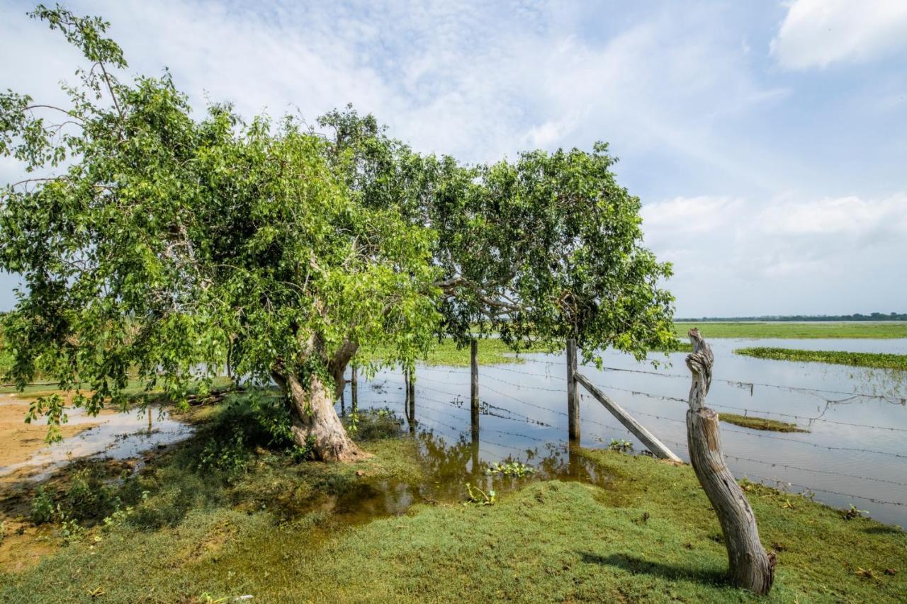 Hotel Chaarya Lake Tissamaharama Exteriér fotografie